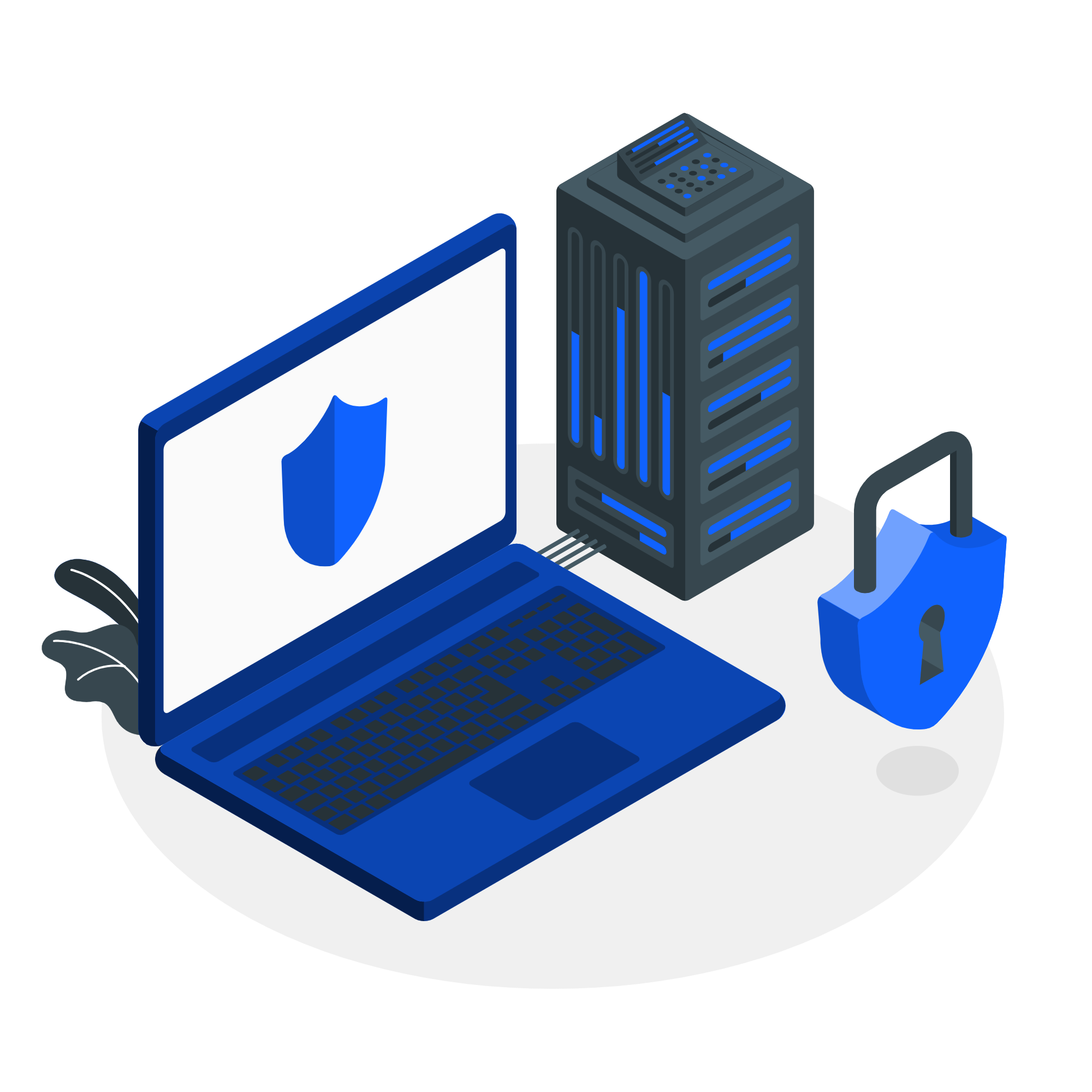 VPS Hosting in Numbers